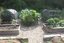 Studio on Walnut Creek Garden