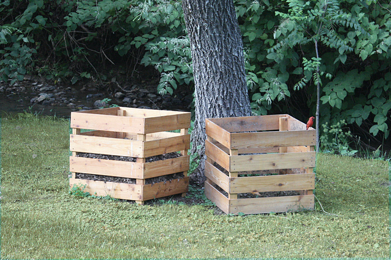 New Compost Bins with Cardinal.