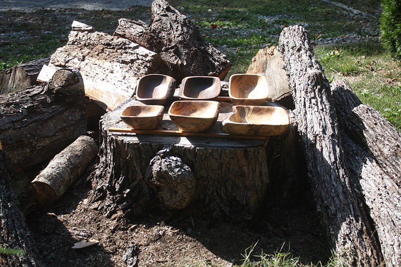 Assorted bowls surrounded by the wood they were carved from.