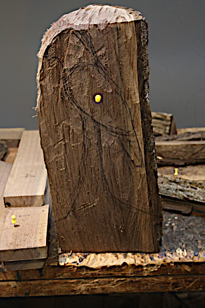 Side drawing for hawk carving.