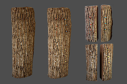 First Cuts of Walnut Log