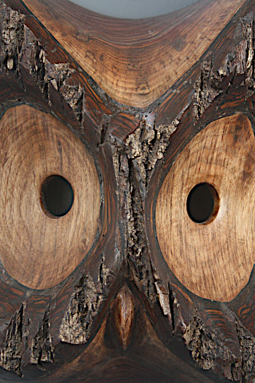 Owl Mask