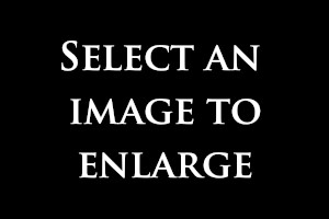 Select an image to enlarge.