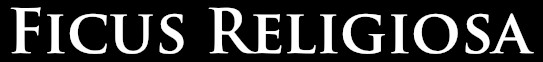 Ficus Religiosa